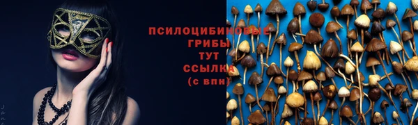 мет Арсеньев