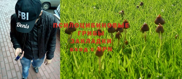 мет Арсеньев