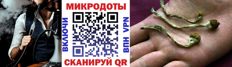Псилоцибиновые грибы прущие грибы  Шадринск 
